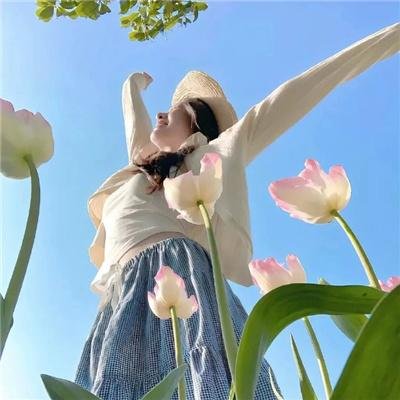 淑女宠爱